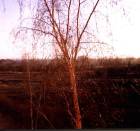 Ярославль 0000000159.jpg