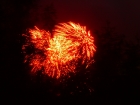 2 0000000254.jpg